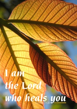 I am the Lord who heals you